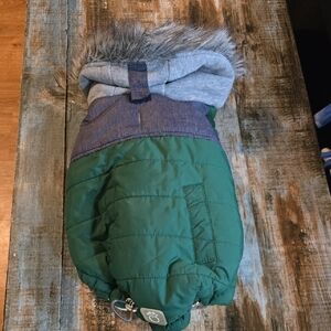 Green and Gray Dog Winter Jacket